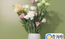 洋桔梗醒花的正确方法和技巧