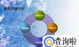 家庭环境分析怎么写