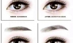 纹眉毛一般多少钱