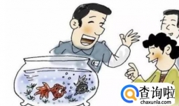 新手开始养鱼要准备的简单步骤