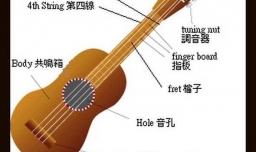 尤克里里教程(1)——认识尤克里里