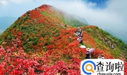 成都近郊一日游，可以吃好耍好的地方