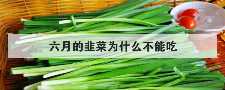 六月的韭菜为什么不能吃