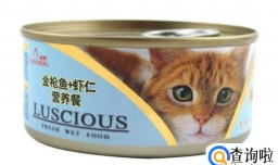 猫罐头怎么喂