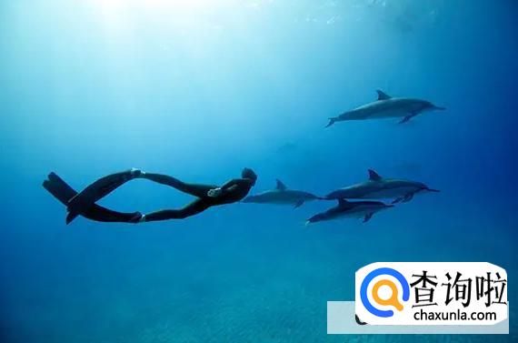 潜泳怎么潜下去