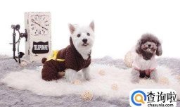 赚钱好项目有哪些？