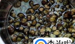 香辣“清明螺”做法