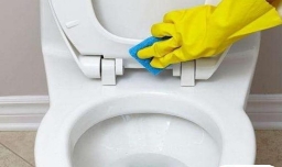 马桶清洁小常识