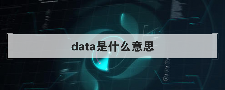 data是什么意思