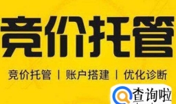 如何网赚？教你如何在网上赚到钱