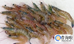 家常白灼虾的做法，怎么做白灼虾