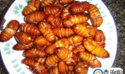 小蚕蛹怎么做好吃