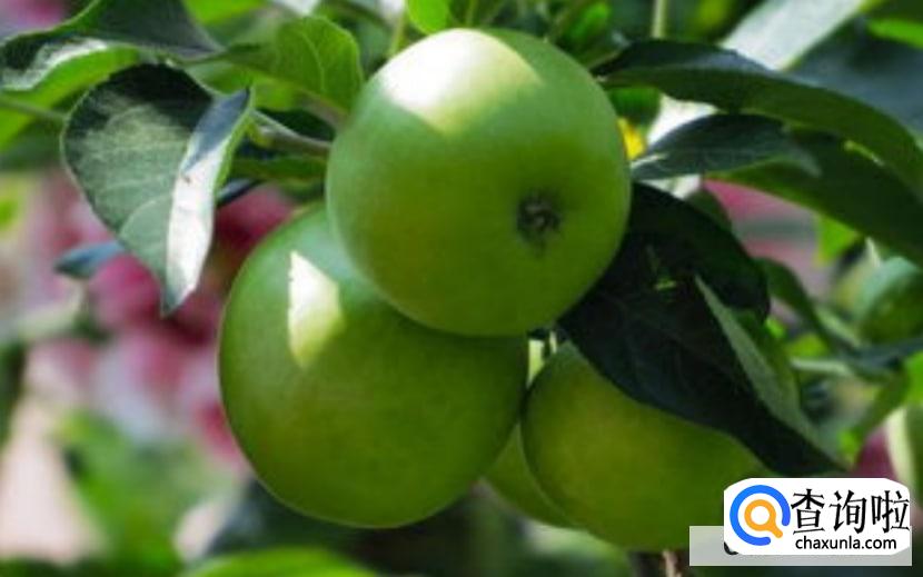 怎么美白牙齿？小窍门令你绽放完美笑容