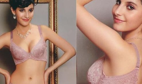 女士内衣十大名牌