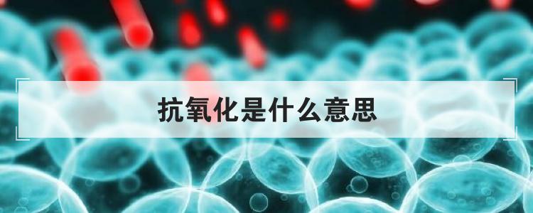 抗氧化是什么意思