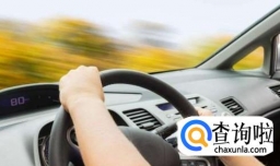 开车时撞死了狗怎么办？