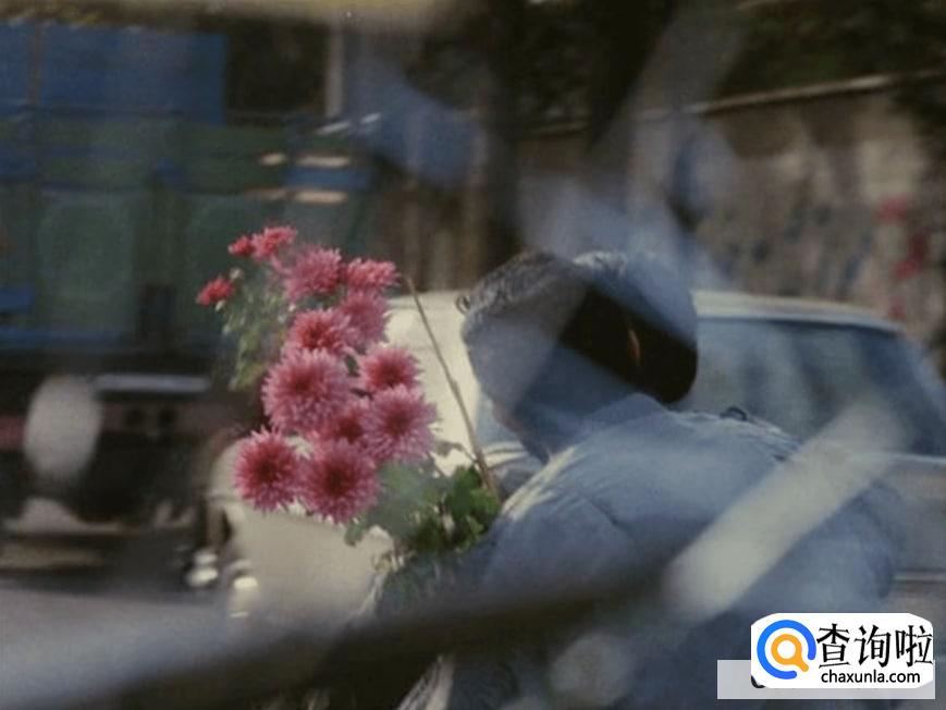 怎样为儿子征婚才合理