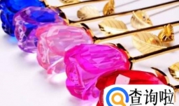 送女朋友什么礼物最有创意？