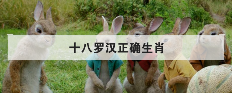 十八罗汉正确生肖