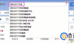 如何查询专利的各种状态信息以及缴费状况