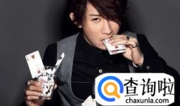 魔术表演形式分为几种