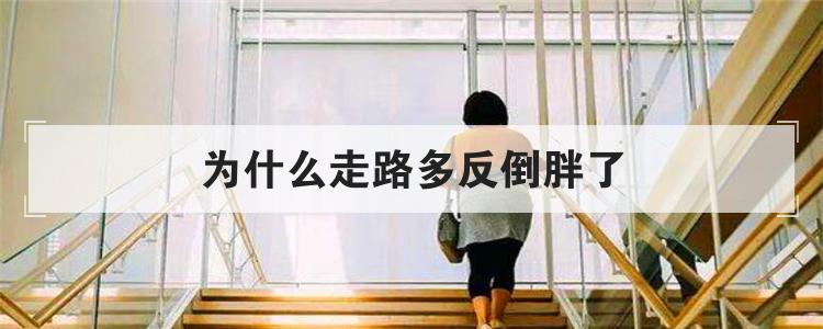 为什么走路多反倒胖了