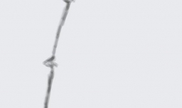 水墨竹子的画法，水墨画竹子画法步骤图