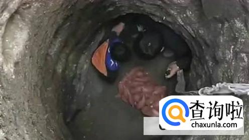 红薯怎么保存不会烂掉