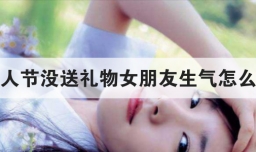 情人节没送礼物女朋友生气怎么办