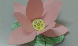 卡纸制作：莲花