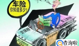 交强险保单丢了怎么补办，车子年检需要什么资料