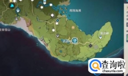 原神藏金之花和启示之花在哪里