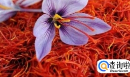 迪拜旅游购物必买清单