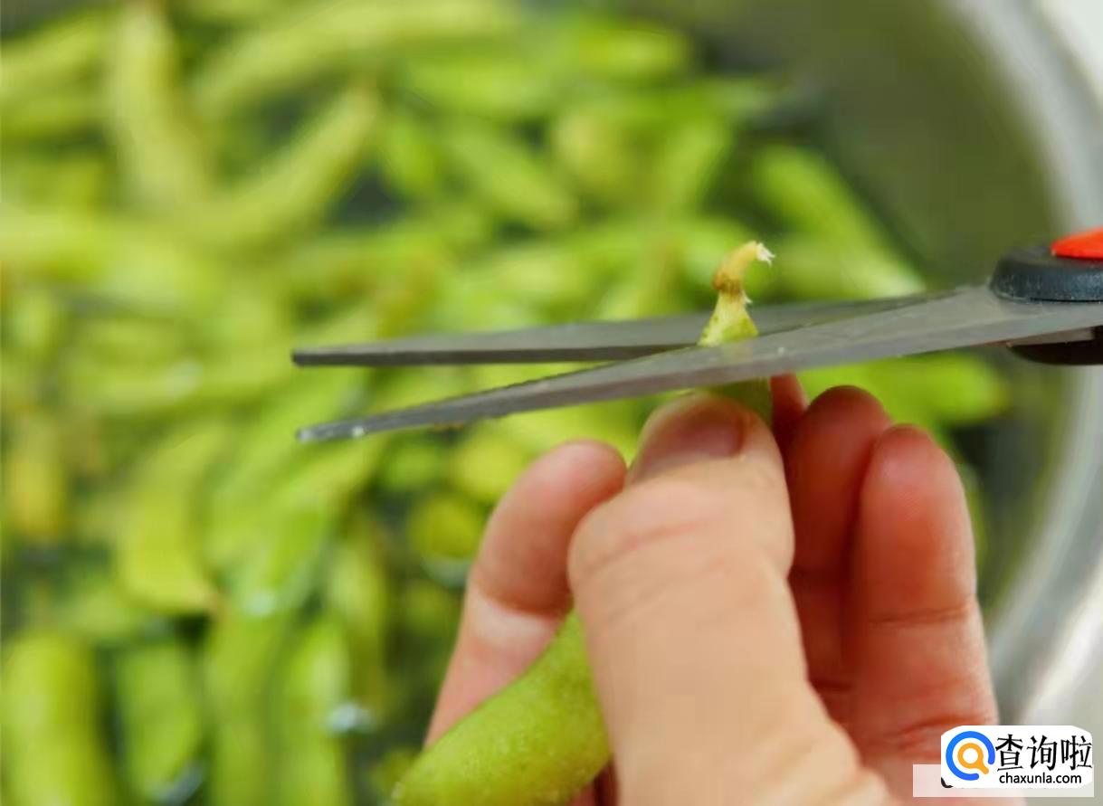 毛豆怎样煮才能又绿又好吃