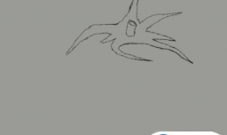 西红柿素描步骤