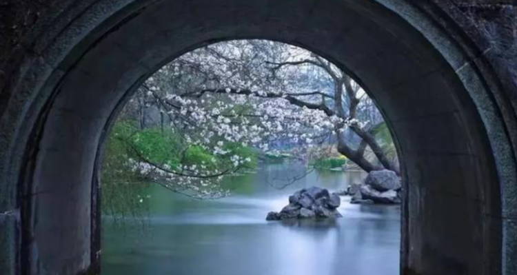 良辰美景奈何天是什么意思