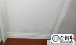 房间不通风潮湿发霉最好的处理方法