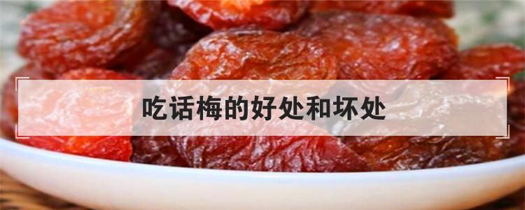 吃话梅的好处和坏处