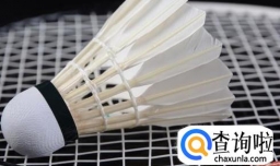 打羽毛球的技巧