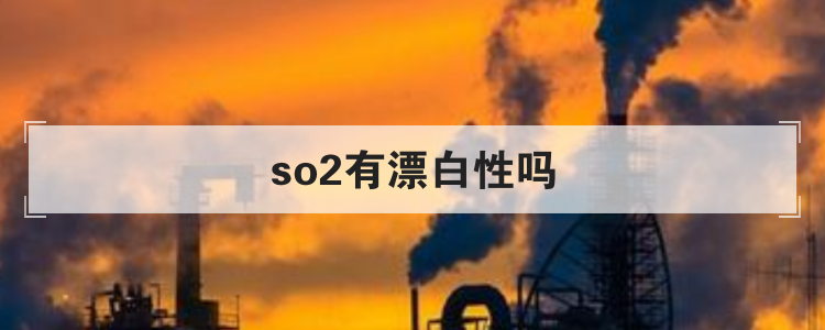 so2有漂白性吗