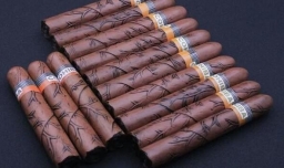 进口雪茄的性价比高吗？