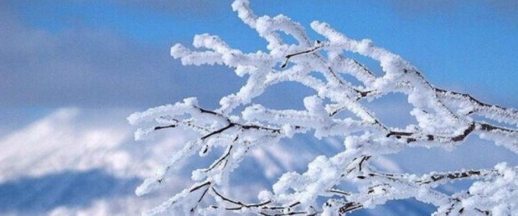 关于雪的成语有哪些