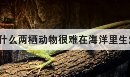 为什么两栖动物很难在海洋里生活