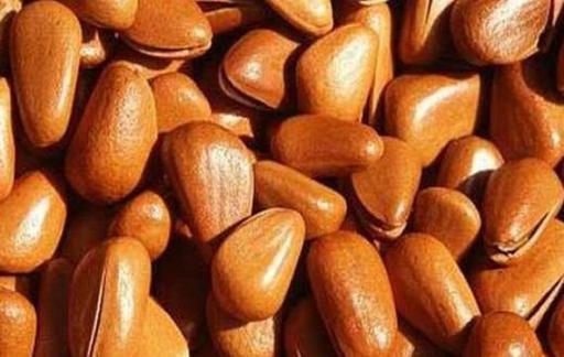 吃松子有哪些健康功效