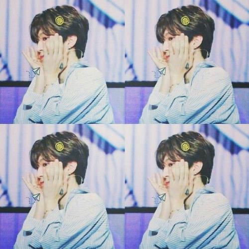 福西西是什么梗