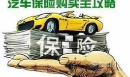 车险如何买最划算