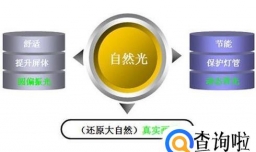 什么是自然光电视