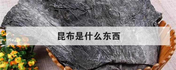 昆布是什么东西