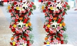 朋友新店开业一般送什么，据说这些画招财运