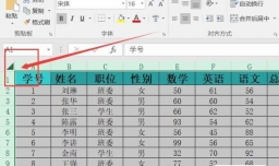 excel如何复制到新工作表保持格式不变？